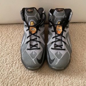 Lebron 12 “Flight”